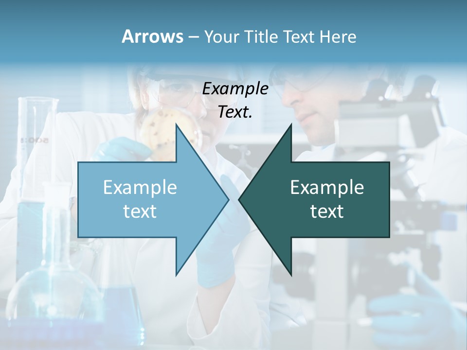 Bacterium Sample Working PowerPoint Template