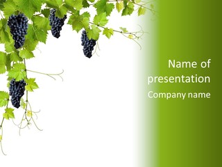 Nature Food Texture PowerPoint Template