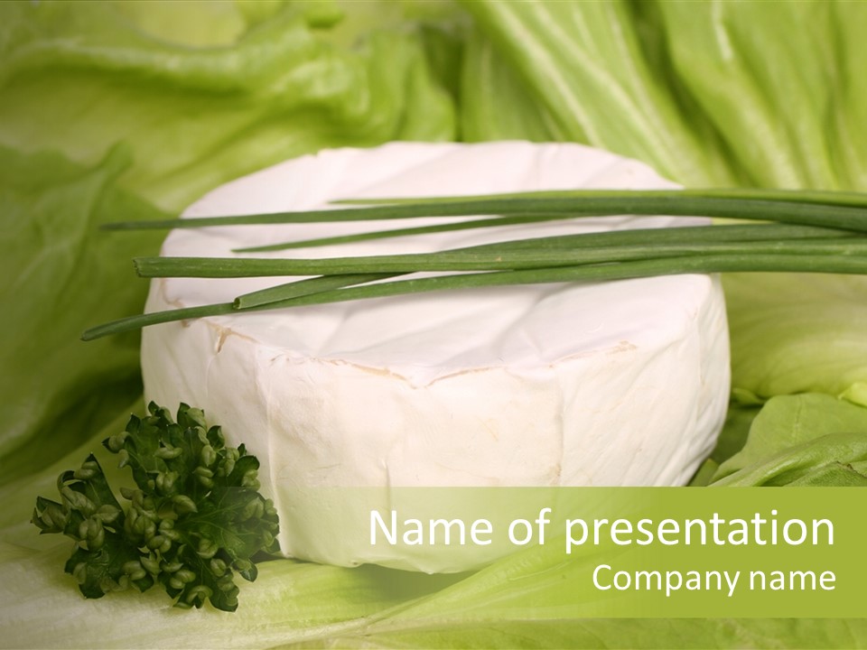 Macro Cargo Salad PowerPoint Template