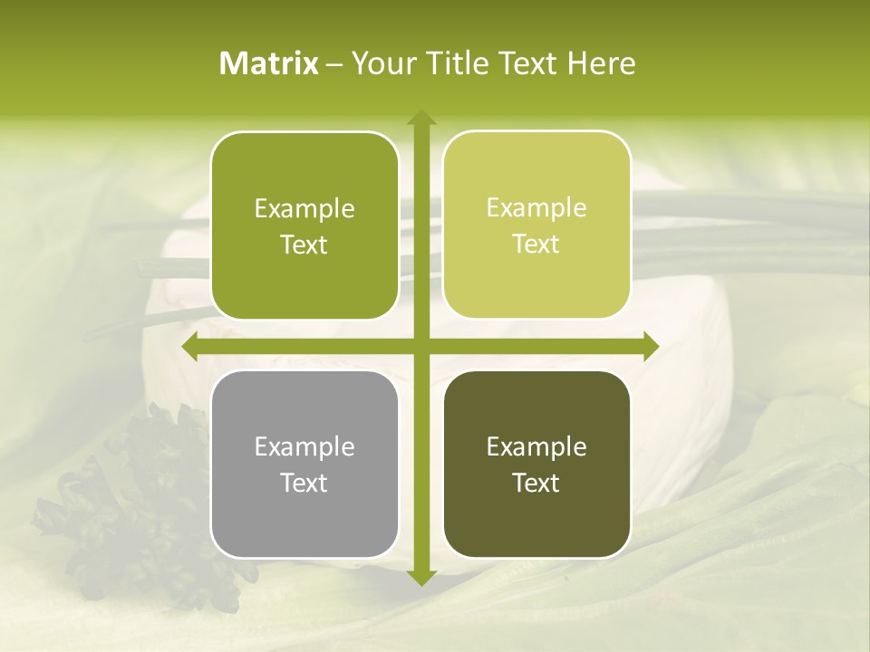 Macro Cargo Salad PowerPoint Template