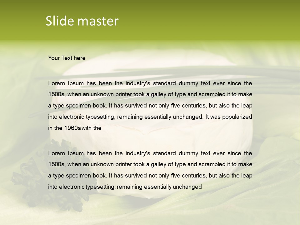 Macro Cargo Salad PowerPoint Template