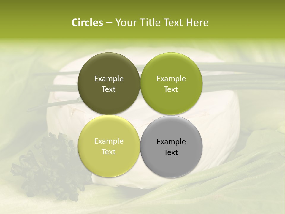 Macro Cargo Salad PowerPoint Template