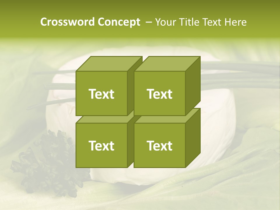 Macro Cargo Salad PowerPoint Template
