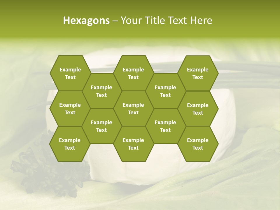Macro Cargo Salad PowerPoint Template
