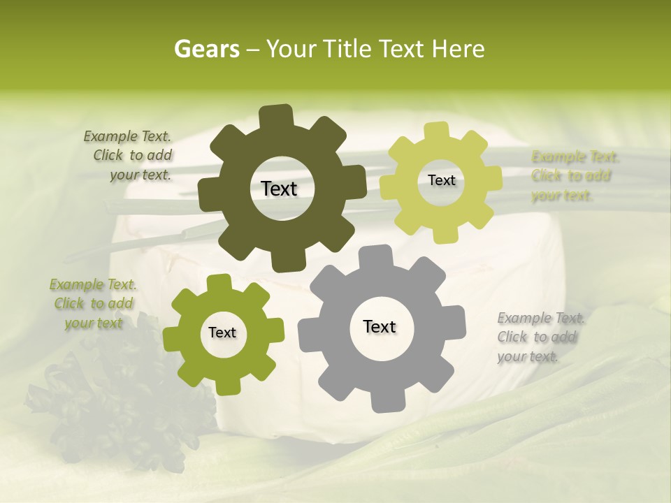Macro Cargo Salad PowerPoint Template