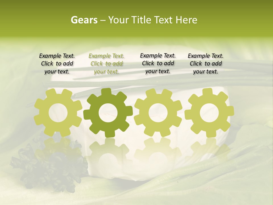 Macro Cargo Salad PowerPoint Template