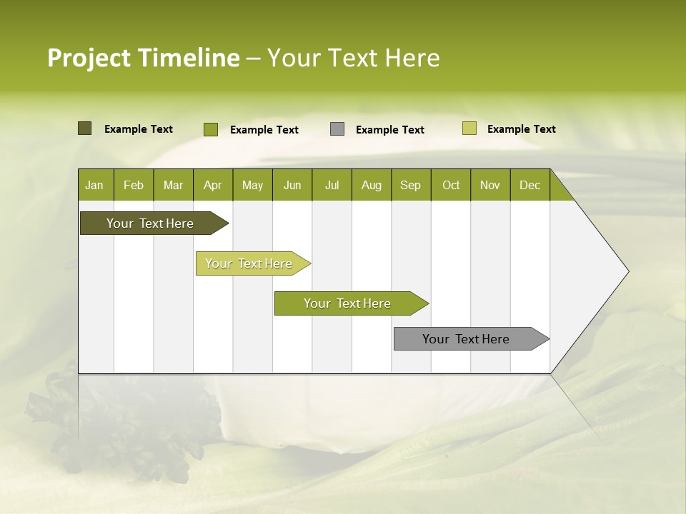 Macro Cargo Salad PowerPoint Template