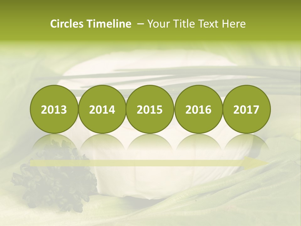 Macro Cargo Salad PowerPoint Template