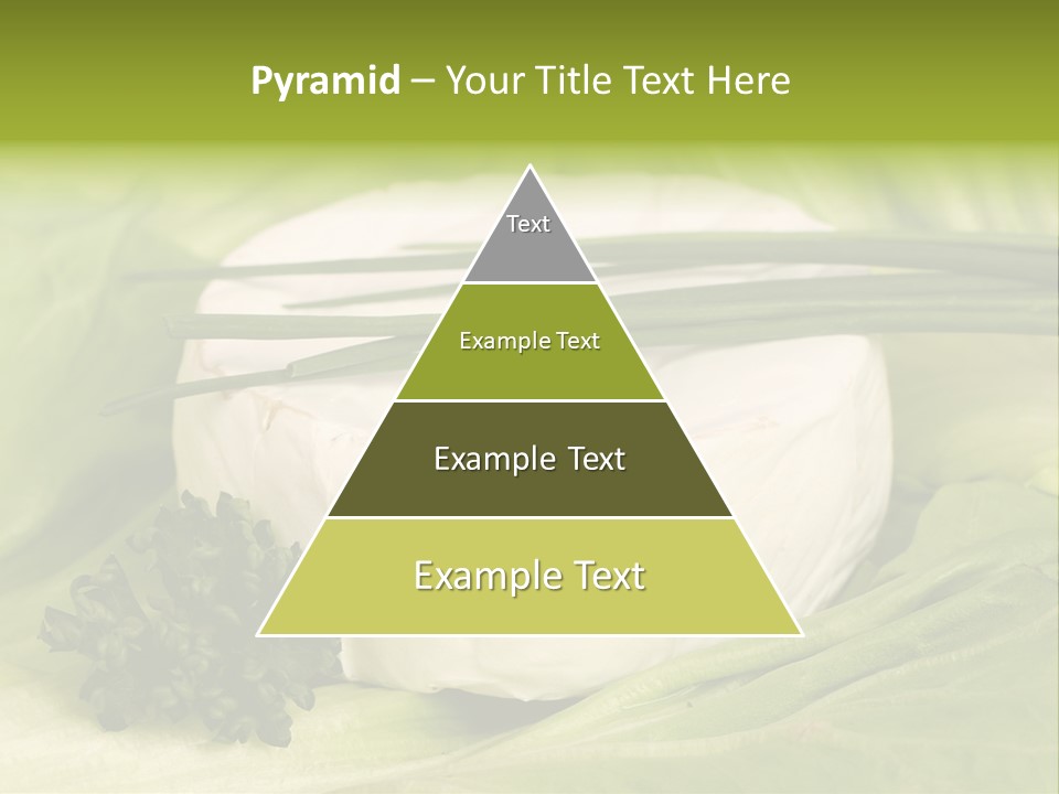 Macro Cargo Salad PowerPoint Template