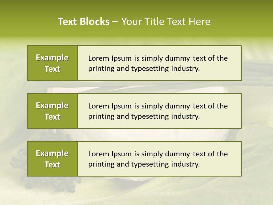 Macro Cargo Salad PowerPoint Template