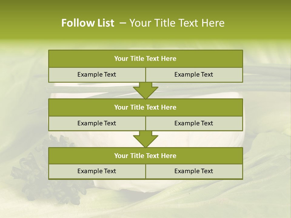 Macro Cargo Salad PowerPoint Template
