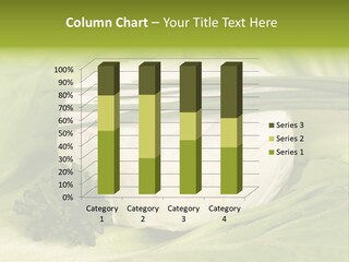 Macro Cargo Salad PowerPoint Template