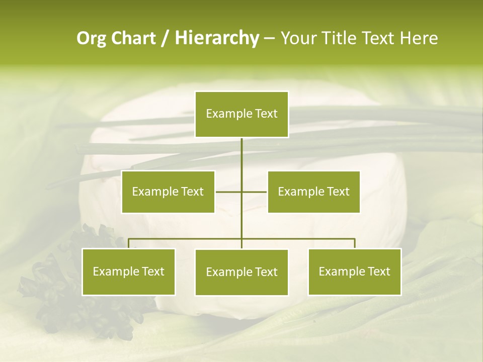 Macro Cargo Salad PowerPoint Template