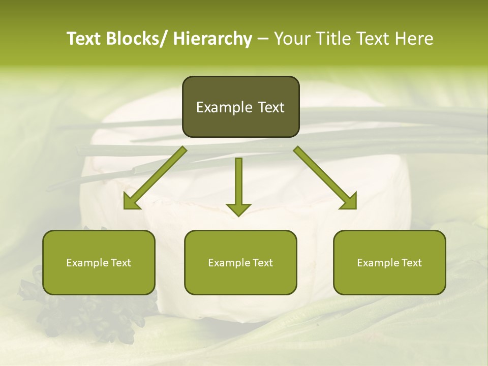 Macro Cargo Salad PowerPoint Template