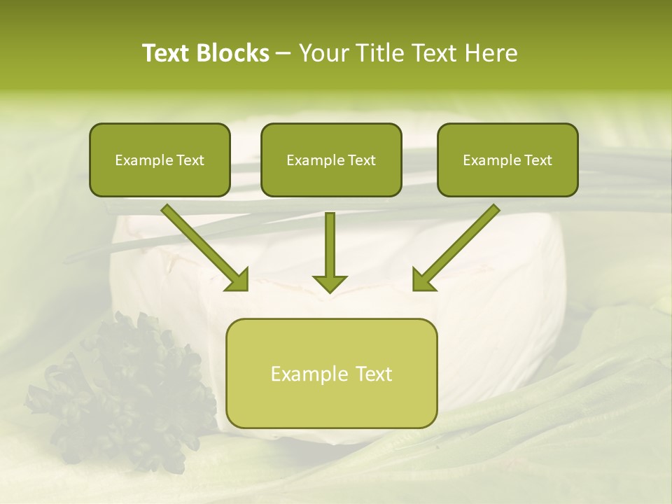 Macro Cargo Salad PowerPoint Template