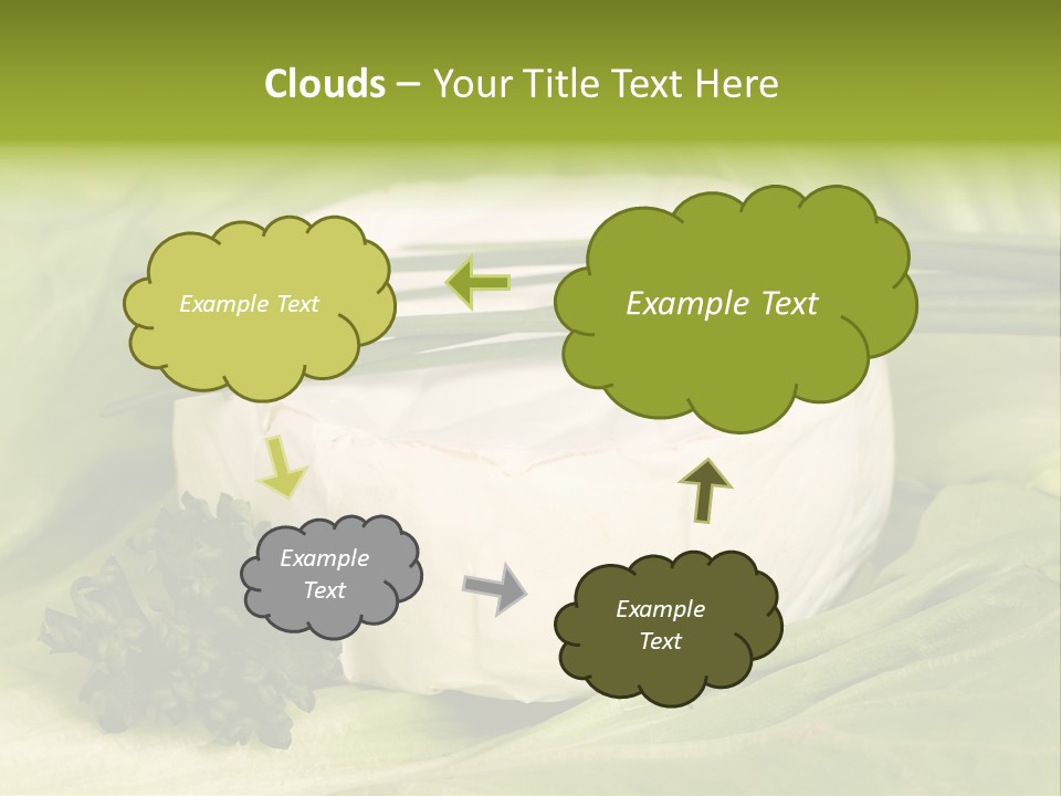 Macro Cargo Salad PowerPoint Template