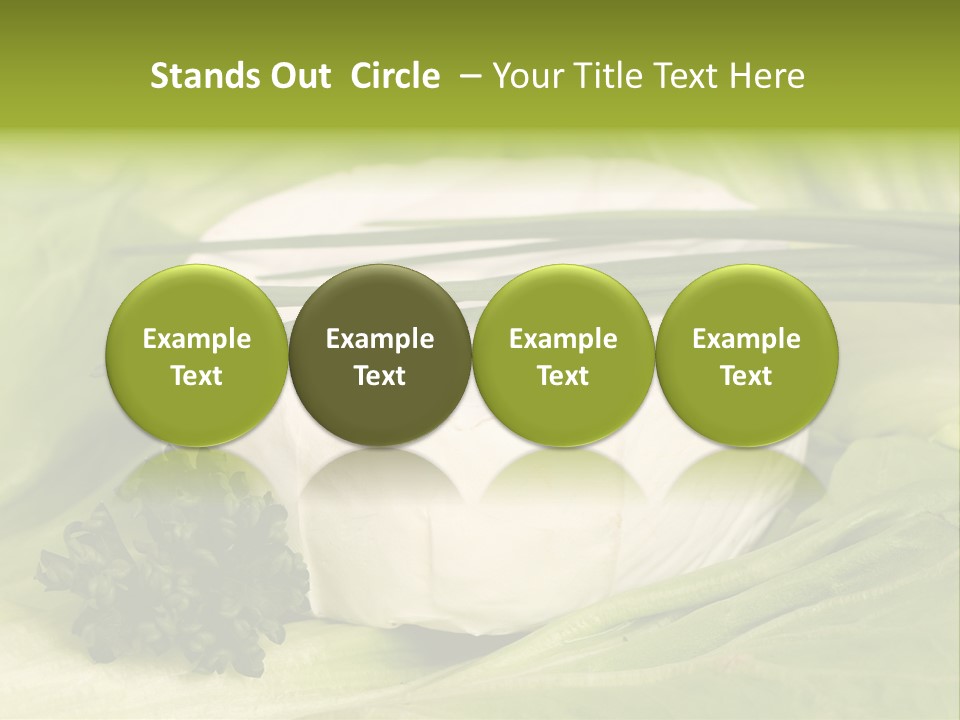 Macro Cargo Salad PowerPoint Template