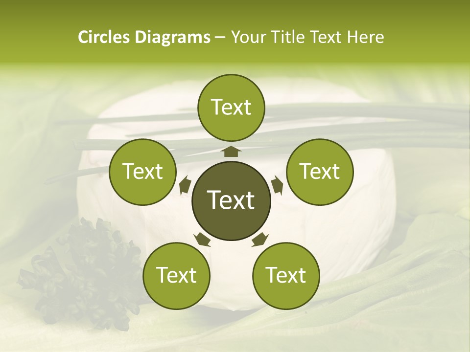 Macro Cargo Salad PowerPoint Template