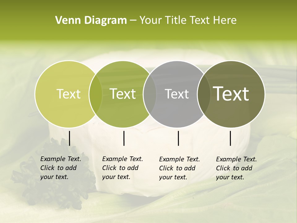 Macro Cargo Salad PowerPoint Template