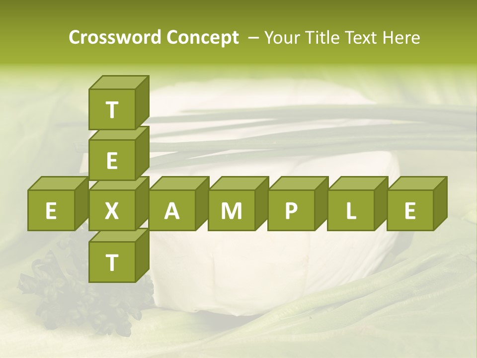 Macro Cargo Salad PowerPoint Template
