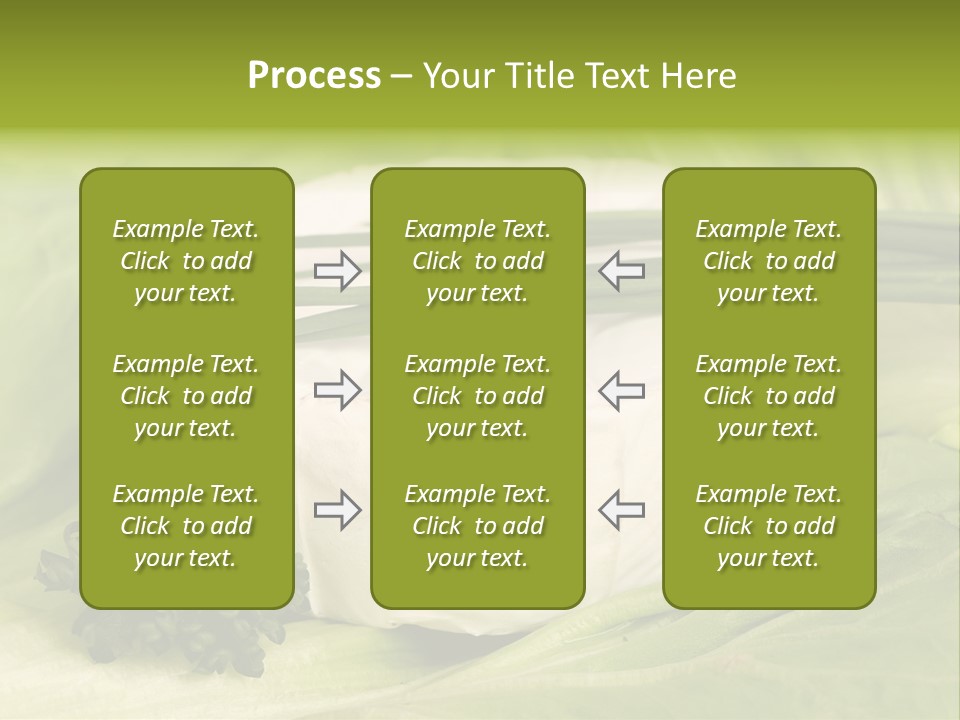 Macro Cargo Salad PowerPoint Template