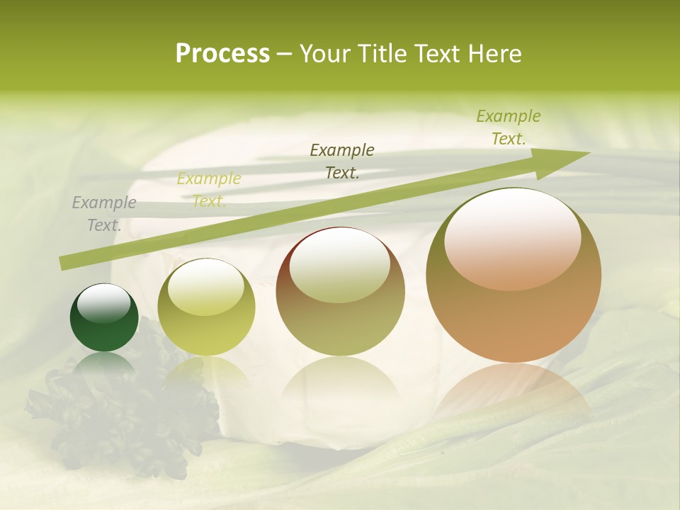 Macro Cargo Salad PowerPoint Template