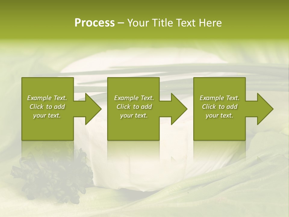 Macro Cargo Salad PowerPoint Template