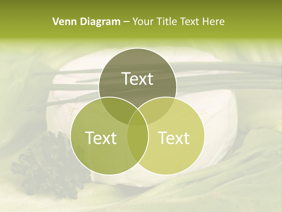 Macro Cargo Salad PowerPoint Template