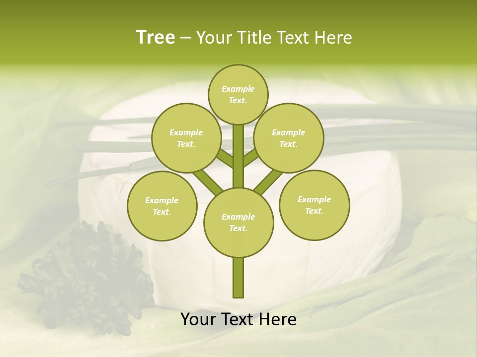 Macro Cargo Salad PowerPoint Template