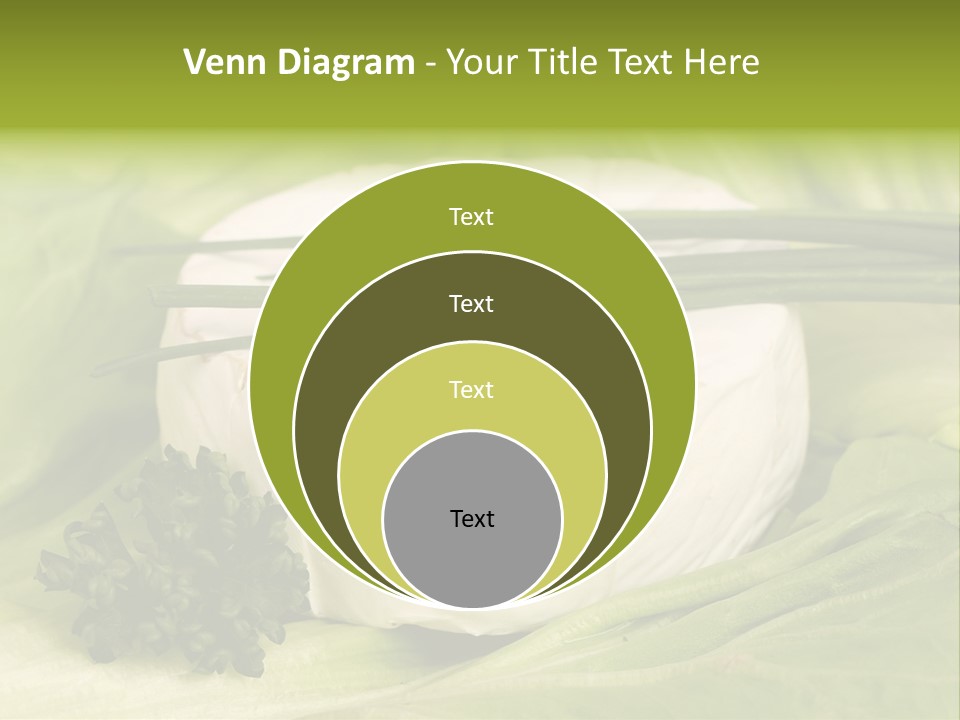 Macro Cargo Salad PowerPoint Template