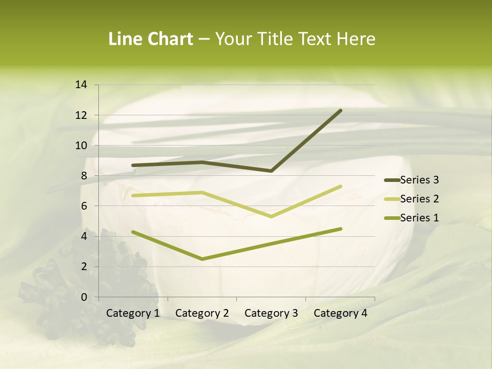 Macro Cargo Salad PowerPoint Template