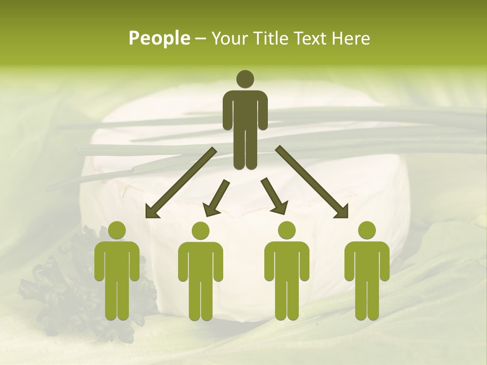 Macro Cargo Salad PowerPoint Template