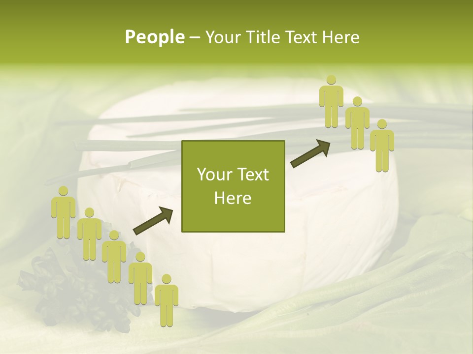 Macro Cargo Salad PowerPoint Template