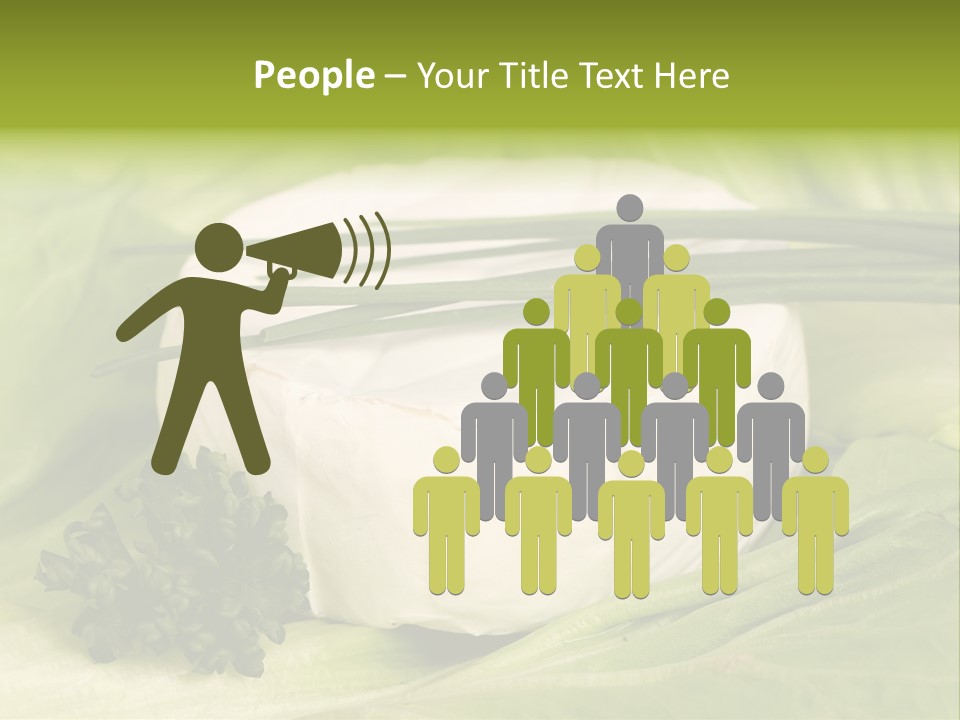 Macro Cargo Salad PowerPoint Template