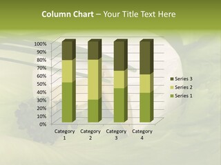 Aliment Fat Healthy PowerPoint Template