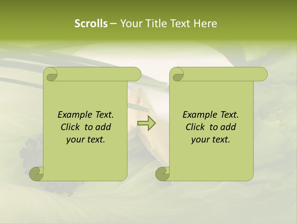 Aliment Fat Healthy PowerPoint Template