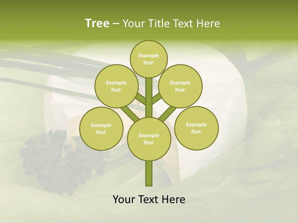 Aliment Fat Healthy PowerPoint Template