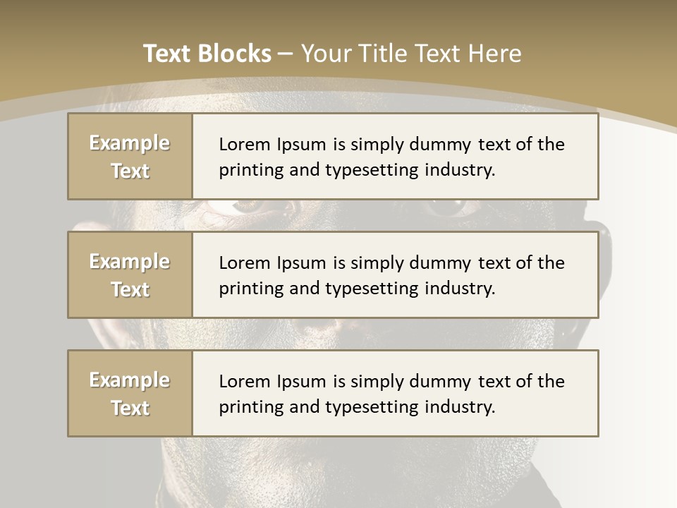 Conflict Person Handsome PowerPoint Template
