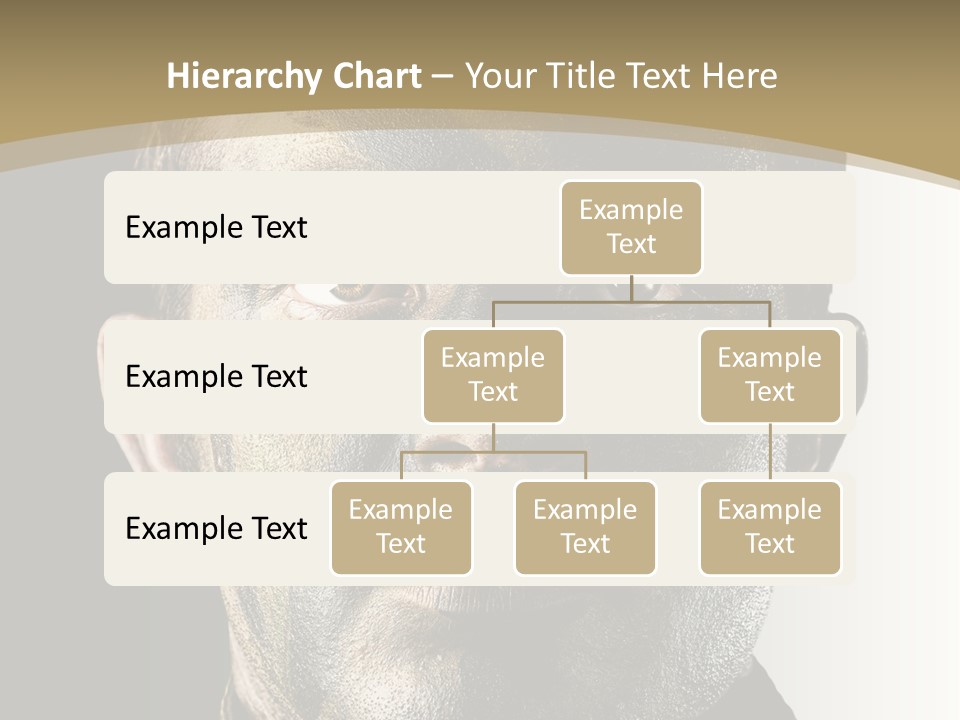 Conflict Person Handsome PowerPoint Template