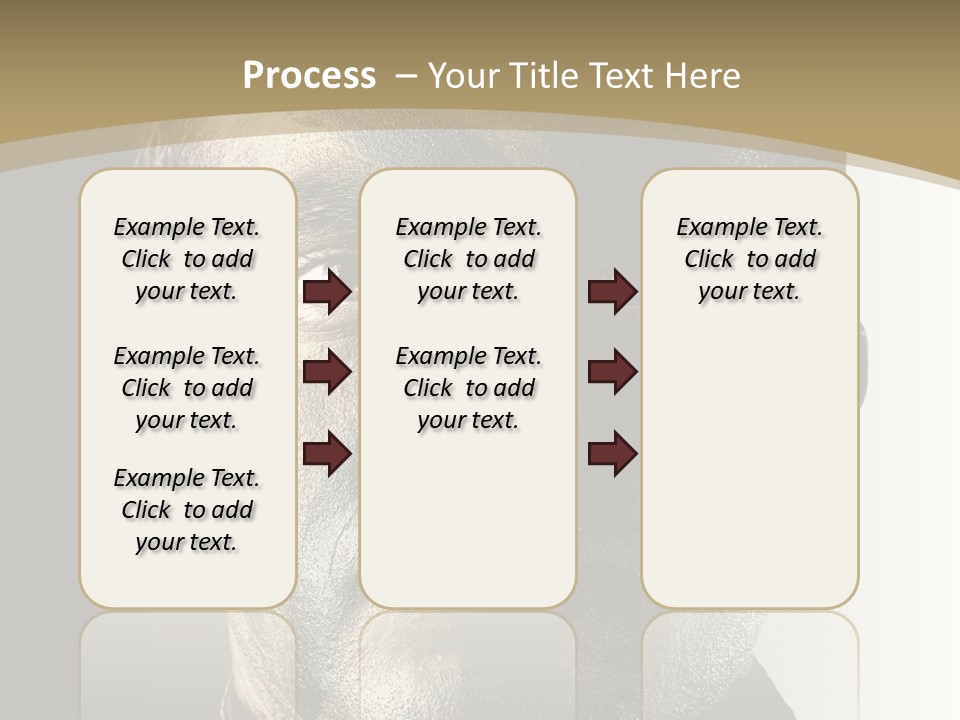 Conflict Person Handsome PowerPoint Template