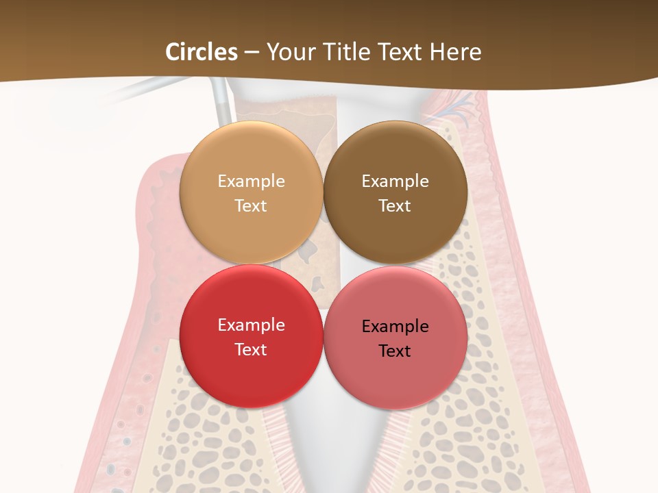 Tartar Porcelain Health PowerPoint Template