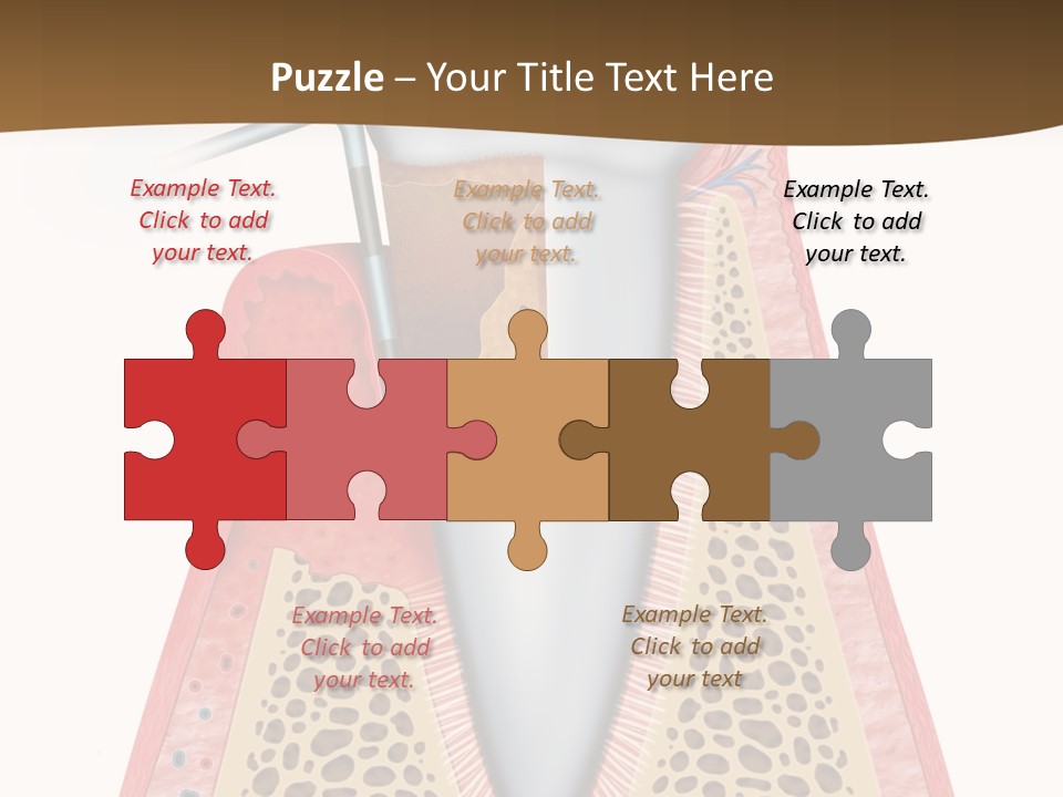Tartar Porcelain Health PowerPoint Template