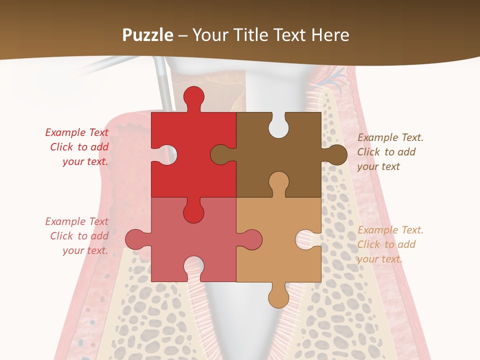 Tartar Porcelain Health PowerPoint Template