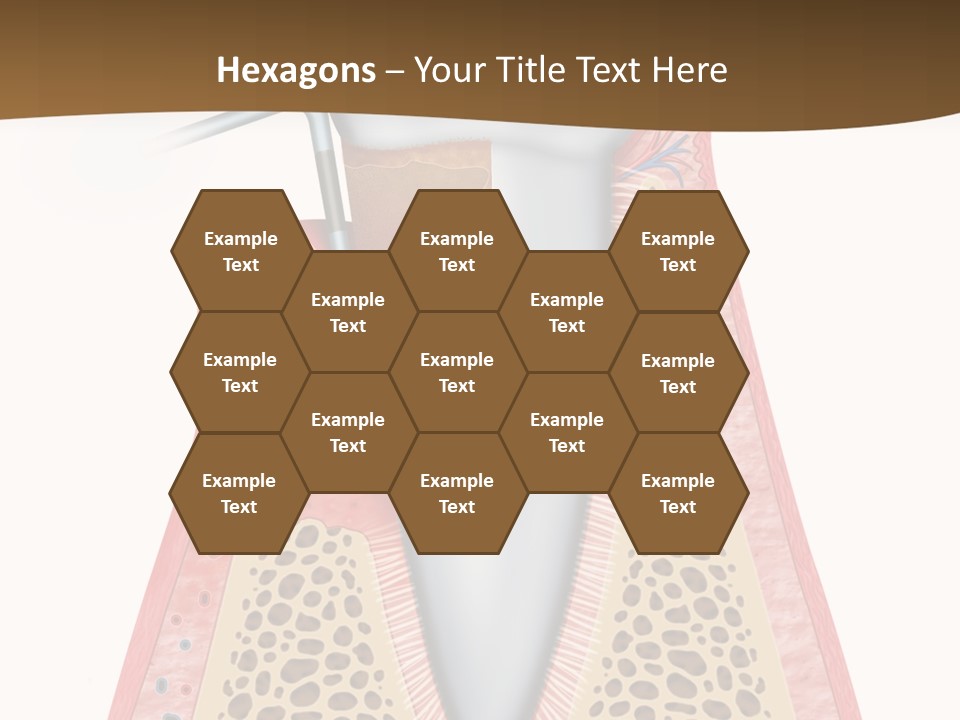 Tartar Porcelain Health PowerPoint Template