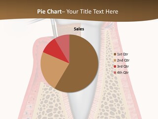 Tartar Porcelain Health PowerPoint Template