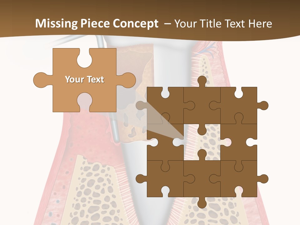 Tartar Porcelain Health PowerPoint Template