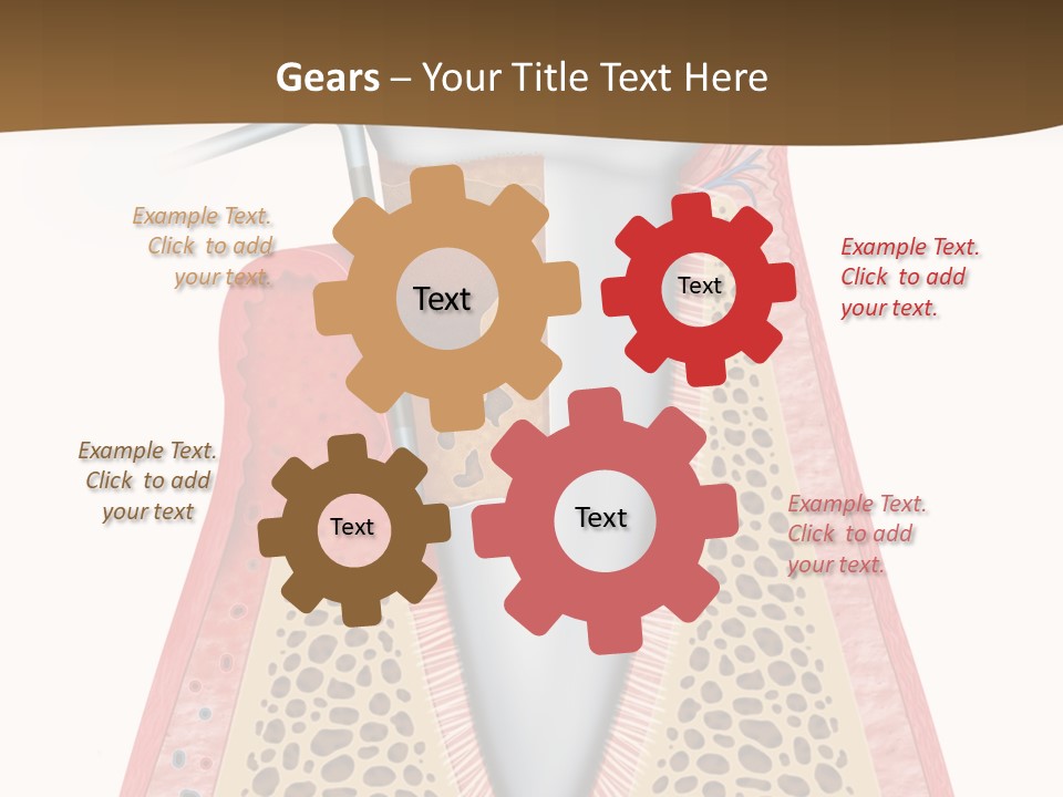 Tartar Porcelain Health PowerPoint Template