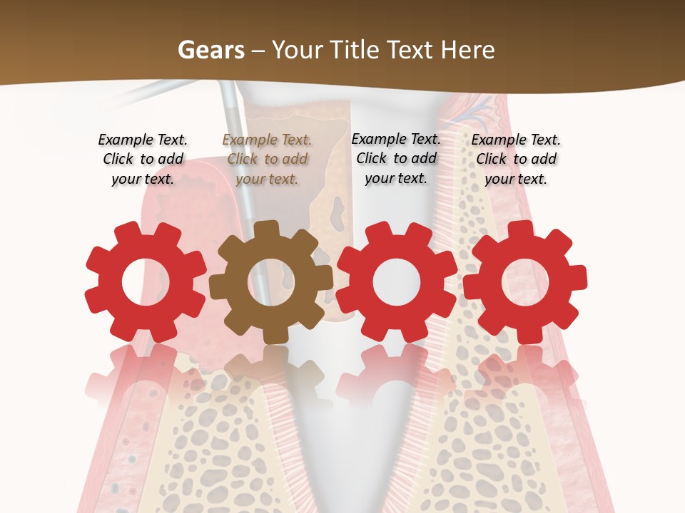 Tartar Porcelain Health PowerPoint Template