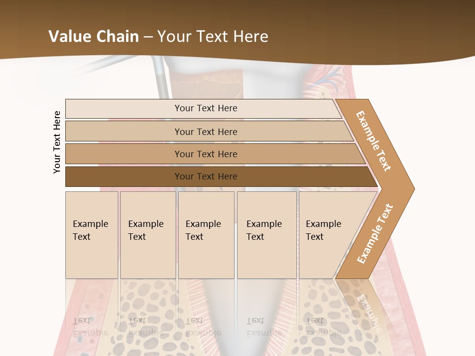 Tartar Porcelain Health PowerPoint Template