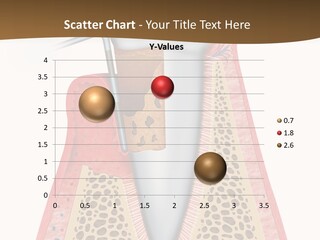 Tartar Porcelain Health PowerPoint Template